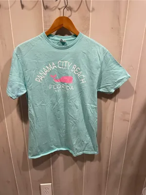 Delta Cute Y2K Panama City pastel whale spring break Florida vacation graphic t-shirt thumbnail 4