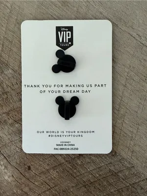 2026 Disney World VIP Tours Exclusive Private Tour Plaid Mickey Hat Pin thumbnail 3