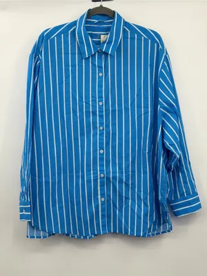 Aerie Good Day Button‎ Down Shirt Large Blue Striped Oversized Cotton thumbnail 3