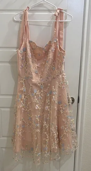 Blush Pink Floral Embroidered Mesh Dress Tie Strap Fit & Flare XXL thumbnail 1