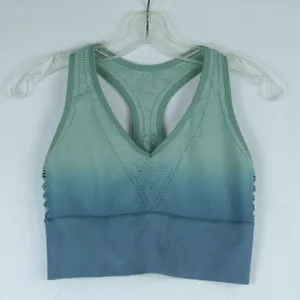 Victoria’s Secret Pink Green/Blue Ombré Seemless Lightly Lined Sports Bra Size L thumbnail 1