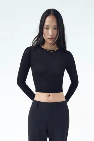 Semi Sheer Knit Crop Top thumbnail 1
