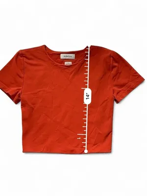 Babaton Burnt Orange Short Sleeve Crop Top thumbnail 6