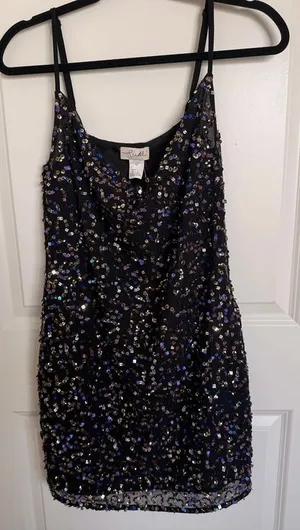 NWT Ludi Sequin Slip Dress Size 4 thumbnail 1