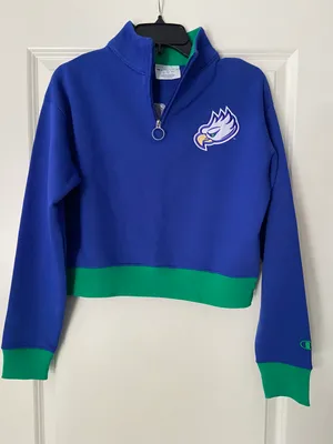 Champion FGCU Florida Gulf Coast University Quarter Zip Size Small thumbnail 1