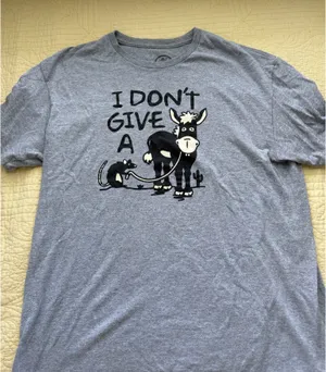 Funny Graphic Tee – Gray “I Don’t Give A…” Shirt thumbnail 1
