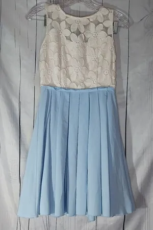 Alter'd State Lucille Eyelet Lace Cottagecore Fit And Flair Pleated Dress Size S thumbnail 1