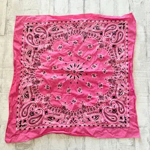 VTG Hav A Hank Pink Cotton Paisley USA Biker Handkerchief Bandana Sz 20"x20" thumbnail 1