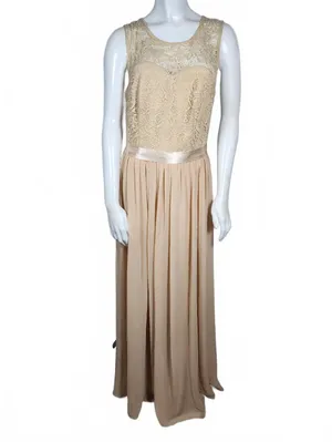 Bery Love Champagne Lace and Chiffon Evening Gown Dress Medium Wedding Guest thumbnail 2