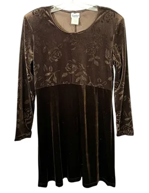VTG Dress Brown Velvet Burnout Sz 12 Rose Print‎ A-Line Y2K 90s Long Sleeve 1590 thumbnail 1