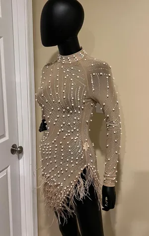 Rhinestones mini dress long sleeve pearl dress mock neck dress fringe feathers dress Sequin Dress thumbnail 6