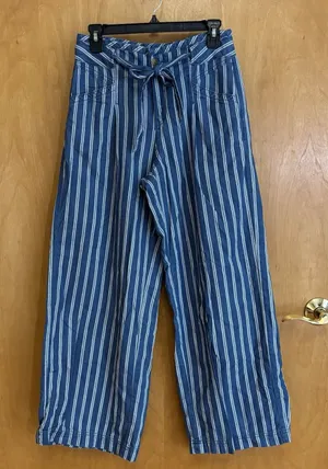 American Eagle Womens Blue belted High Waisted Striped‎ Wide Leg Pants Size 4 thumbnail 1