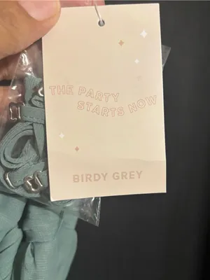 Birdy Grey Sleeveless Light Sage Chiffon Maxi Dress Elegant Women's Evening Gown thumbnail 5