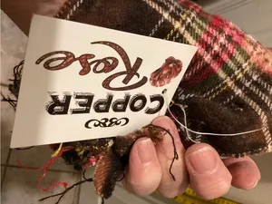 Plaid Patchwork Fringe Scarf in Red, Blue & Brown Red thumbnail 3