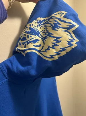 DARC Sport Hoodie thumbnail 4