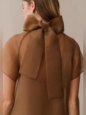 NWT Few Moda Joni Mini Dress Size Large L Brown Sugar organza tie back o.p.t thumbnail 5