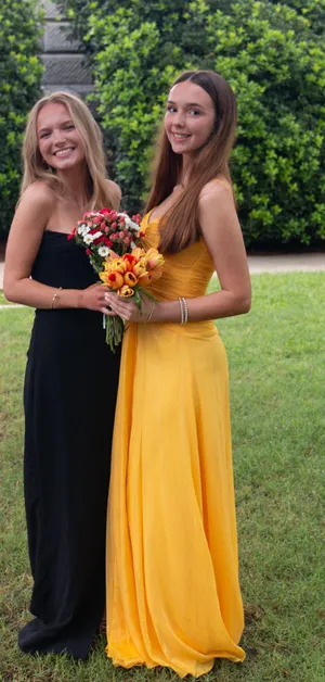 Revolve Prom Dress  thumbnail 3