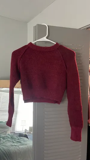 Hallelu Cropped Sweater thumbnail 3