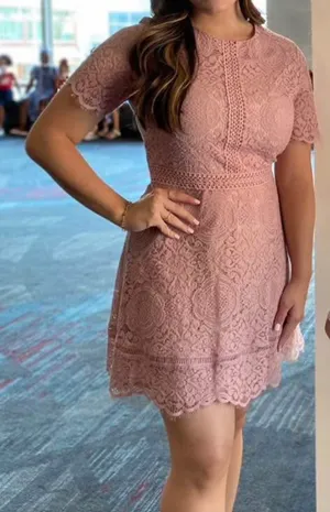 BB Dakota Mauve Dress thumbnail 3