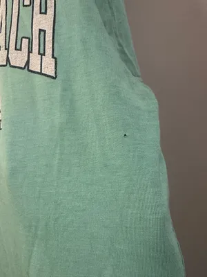 Comfort Colors Southern Spirit Miramar Beach FL Tee thumbnail 6
