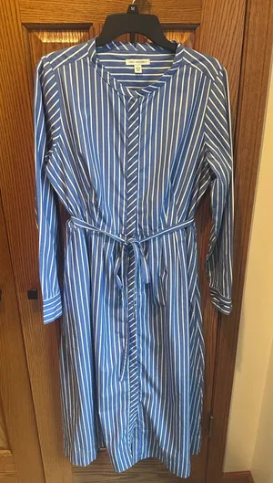 Free Assembly Blue Stripe Pleated Cotton Midi Shirtdress Long Sleeves Sz 12-14 thumbnail 1
