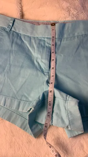 J.Crew Shorts thumbnail 9