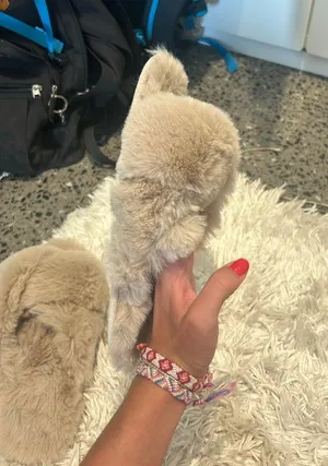 Fluffy House Slippers Tan thumbnail 3