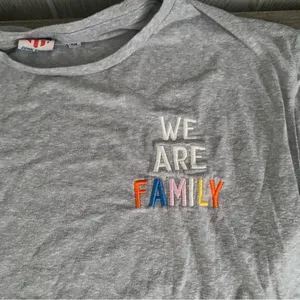 Junk Food We Are Family Embroidered Tee Gray Cotton M thumbnail 4