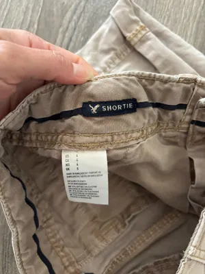 American Eagle Outfitters Shorts (4) thumbnail 4