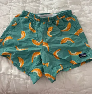 Patagonia Shorts thumbnail 1