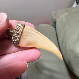 Vintage Fang Tooth Necklace Discoloration thumbnail 2
