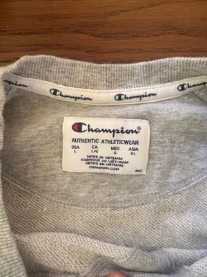Gray Champion Sweatshirt  thumbnail 4