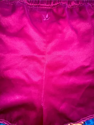 Vintage! Aerie Embroidered Pajama Shorts! thumbnail 4