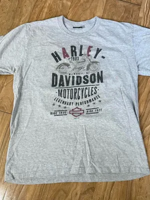 Harley-Davidson Light Gray Short Sleeve Logo Tee with Maroon Accents thumbnail 1