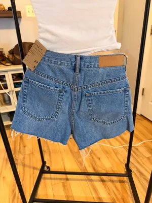 PacSun Shorts thumbnail 3