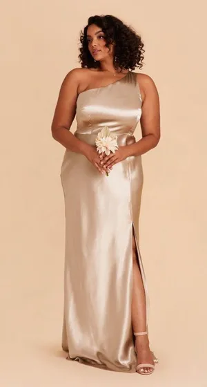 BIRDY GREY Kira Dress In Shiny Satin Neutral Champagne thumbnail 2