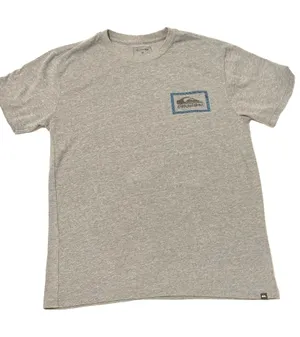 Quiksilver Tee Shirt gray and blue  thumbnail 1