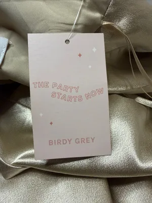 Birdy Grey NWT Lisa Long Shiny Satin Dress Neutral Champagne Size M thumbnail 6
