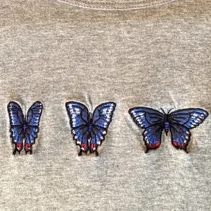 Aritiza - Sunday Best Butterfly Tee from Aritzia thumbnail 2