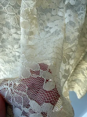 Sheer Floral Lace Long Sleeve Top thumbnail 4