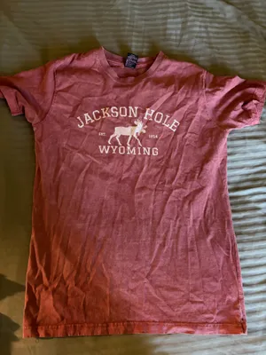 Jackson hole Wyoming shirt Pink Size M thumbnail 1