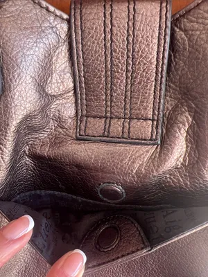 Etienne Aigner Metallic Bronze Leather Shoulder Bag with Tag thumbnail 6