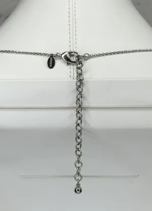 Chico's Cluster Beaded Pendant Silver Tone Long Necklace ✨ thumbnail 3