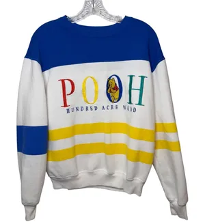 Disney Winnie The Pooh Hundred Acre Wood Colorblock Embroidered Sweatshirt Sz SM thumbnail 1