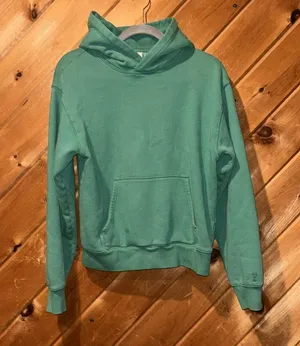Aritiza TNA Cozy Fleece Perfect hoodie Sweatshirt Biome Green thumbnail 1