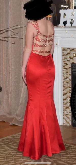 Prom Dress  thumbnail 7