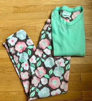 NWOT Sonoma Fleece Pajama Set thumbnail 1