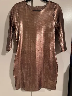 BB Dakota Sequin Dress NWT thumbnail 1