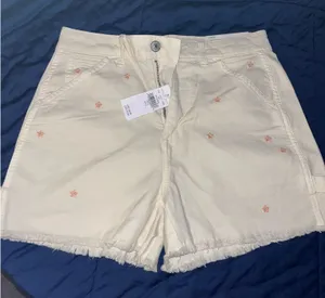 American Eagle Shorts thumbnail 1