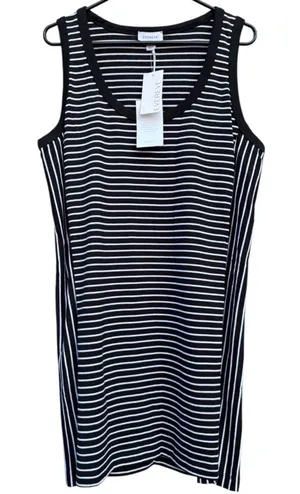 NWT EVEREVE CHARLIE Scoop Neck Pima Cotton Dress Stripe Large Retail $98.00 thumbnail 1